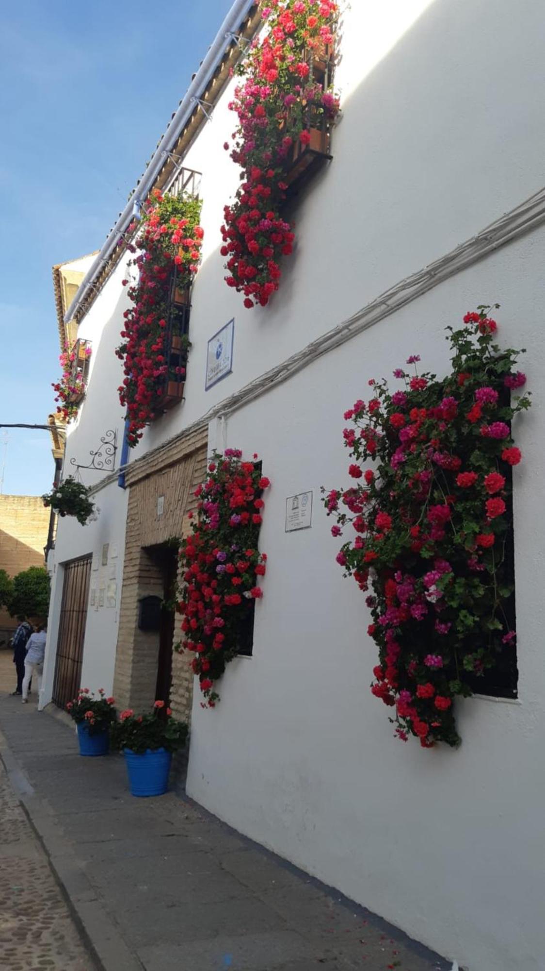 El Rincon De Jesus Y Loli Lejlighed Córdoba Eksteriør billede